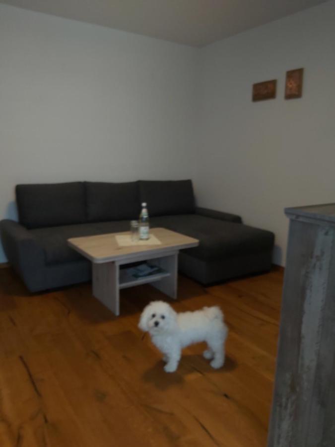 Apartment Munzert Zell im Fichtelgebirge